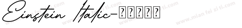 Einstein Italic字体转换